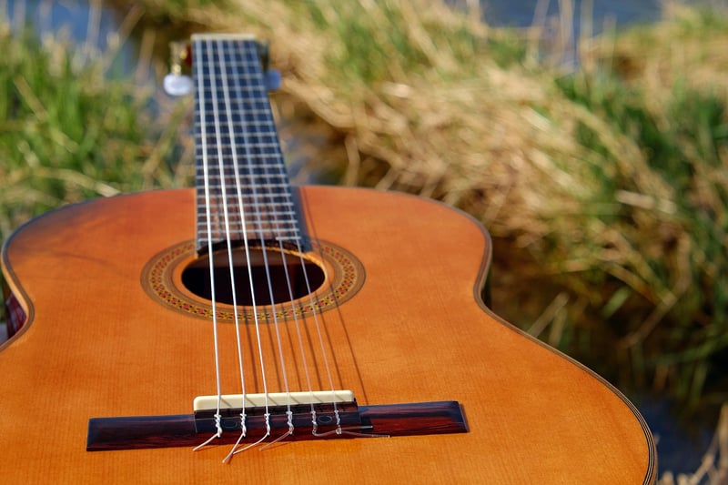 Acoustic Serenade